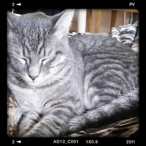 Meet your Posher, Felicia